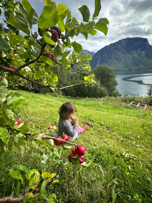 Gartenstimmung im Spätsommer in Måndalen