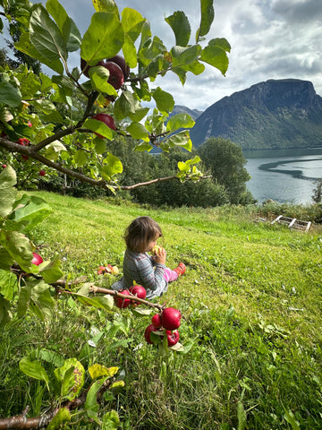 Gartenstimmung im Spätsommer in Måndalen