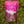 Moonvalley Bio-Regenerationsdrink mit Schokolade als Pulver, fotografiert in einer natürlichen Outdoor-Umgebung.